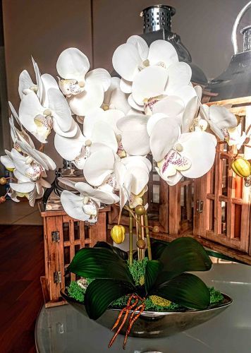Storczyk sztuczny orchidea biała kompozycja Glamour